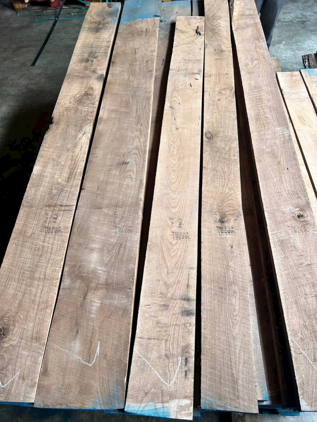 walnut3